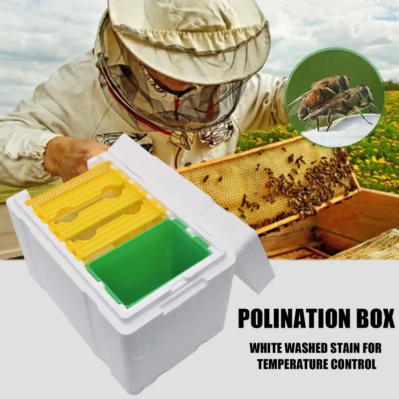 Queen Bee Breeding Mating Box Foam Bee Hive Box Beekeeper Garden Pollination Box Bee Breeding Case Beekeeping Equipment