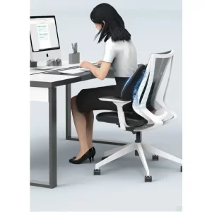 Adjustable Back Cushion for Office Chair Car Lumbar Support Pillow for Office Sedentary