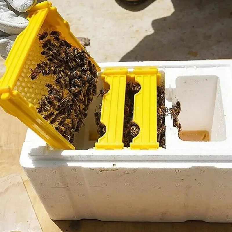 Queen Bee Breeding Mating Box Foam Bee Hive Box Beekeeper Garden Pollination Box Bee Breeding Case Beekeeping Equipment - Image 2